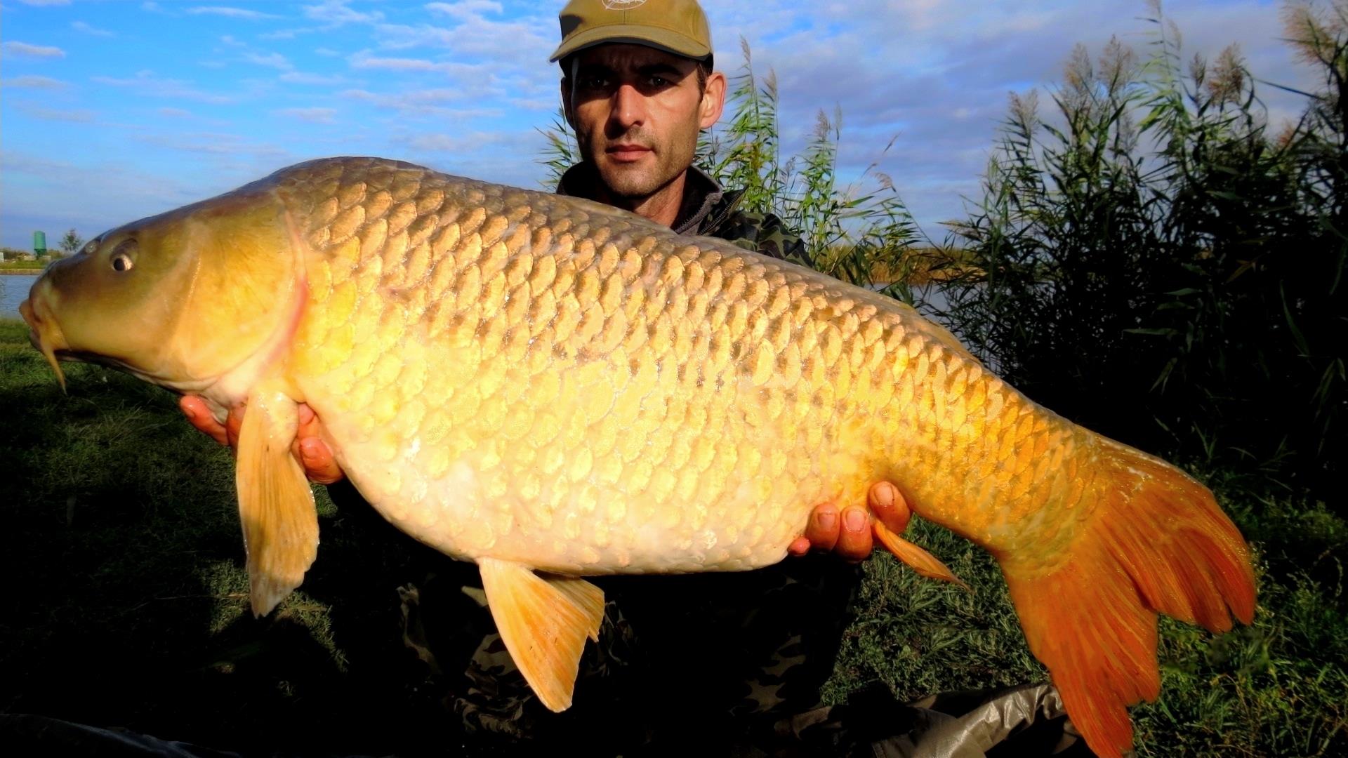 The best pictures of 2013 - 11,720